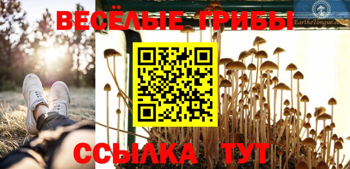 Псилоцибиновые грибы Magic Shrooms Унеча