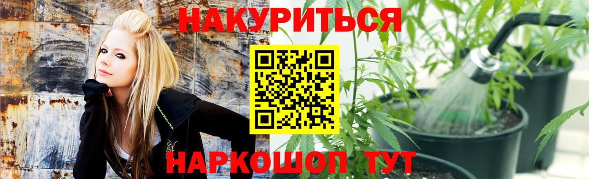 Бошки марихуана ГИДРОПОН  Бошки марихуана сатива  Вход с VPN  Унеча  Канабис Ganja  Бошки Шишки сатива 
